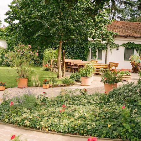 Hotel-Restaurant-Vinothek Felix Sommer Auersthal Ngoại thất bức ảnh